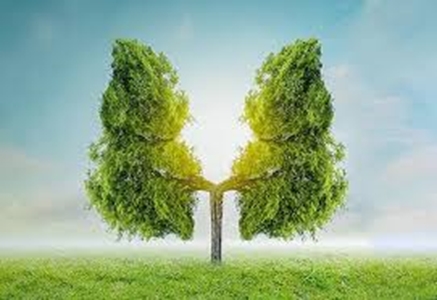 نواخته شدن زنگ هوای پاک در شهرستان کوهدشت